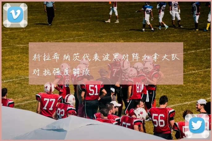 科拉希纳茨代表波黑对阵加拿大队对抗强度解读